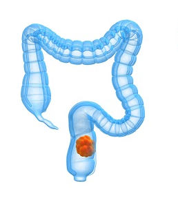 kolon icon
